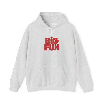 Big Fun Embroidered Hoodie